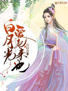 埃利的时装周